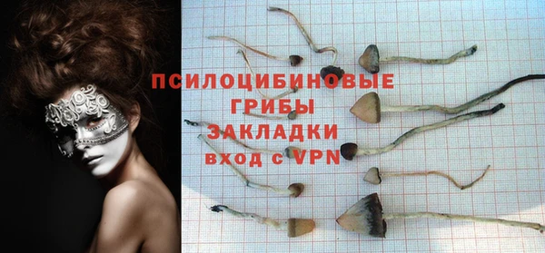 скорость Аркадак