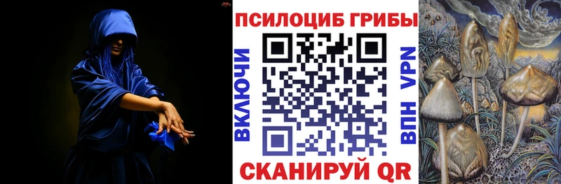 Галлюциногенные грибы мицелий  Новодвинск 